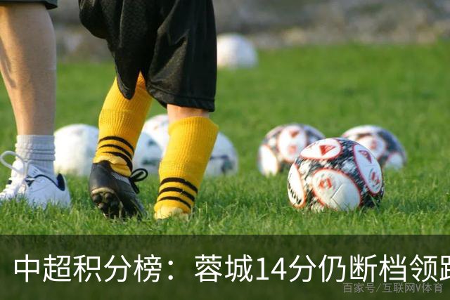 中超积分榜：蓉城14分仍断档领跑，降级区两队均获胜