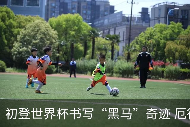 初登世界杯书写“黑马”奇迹 厄德高率挪威黄金一代启航
