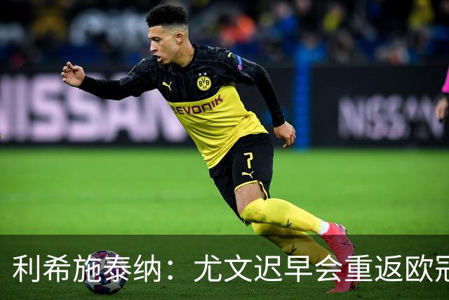 利希施泰纳：尤文迟早会重返欧冠；斯帕莱蒂非常出色