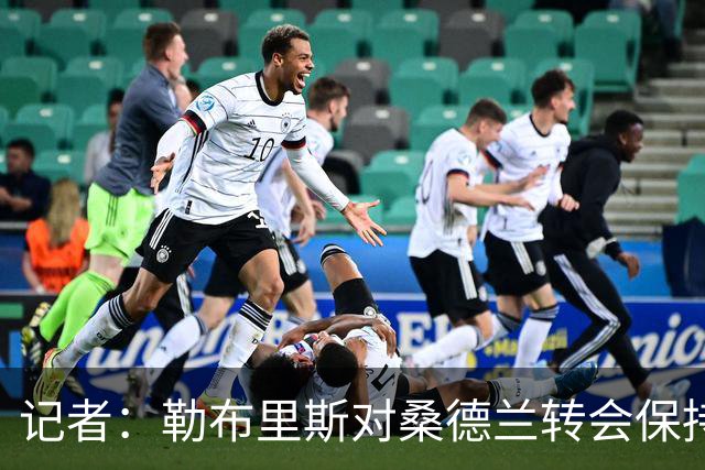 记者：勒布里斯对桑德兰转会保持平静，预计将有新援加盟