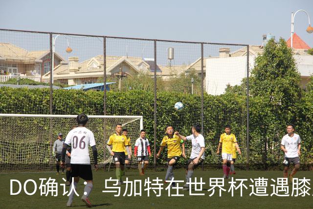 DO确认：乌加特在世界杯遭遇膝盖韧带重伤，预计面临长期缺阵